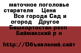 маточное поголовье старателя  › Цена ­ 3 700 - Все города Сад и огород » Другое   . Башкортостан респ.,Баймакский р-н